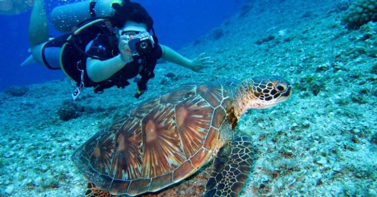 Explore the Underwater World: Scuba Diving Basics