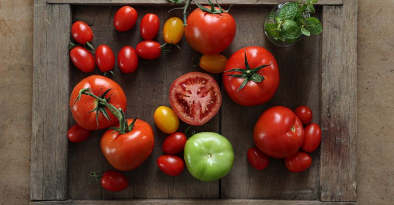 Nutrition Myths - Multicolored Tomatoes Lying on a Wooden Tray