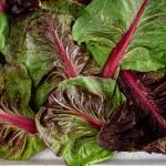 Superfoods - Leaves of Chard