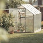 Gardening Benefits - A greenhouse in the backyard with plants and grass