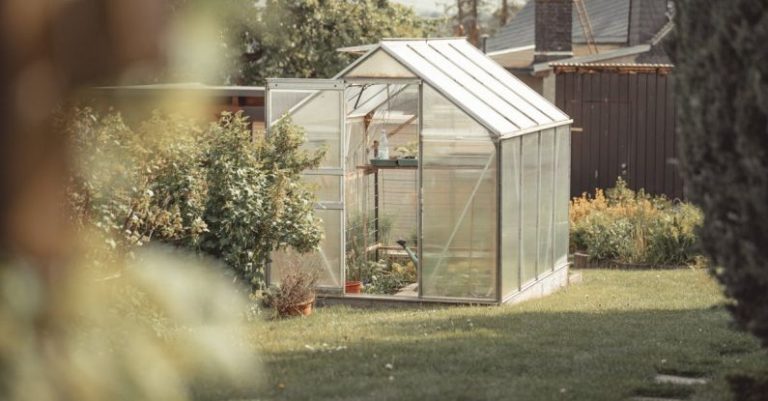 Gardening Benefits - A greenhouse in the backyard with plants and grass