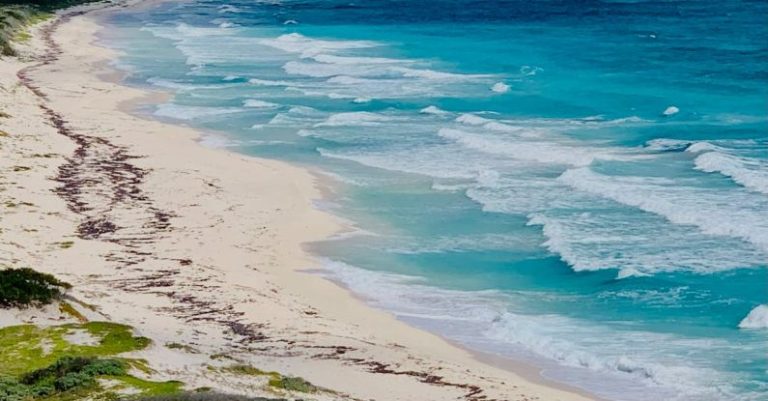 Caribbean Sea - A view of the beach and ocean from a car