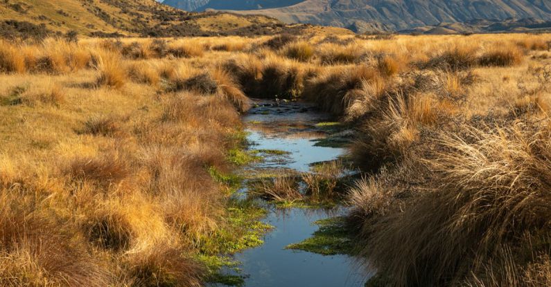 New Zealand Mountains - A stream runs through a grassy field with mountains in the background
