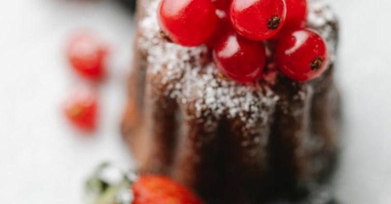 Chocolate Lava Cake - Red currant on delicious lava cake with berries